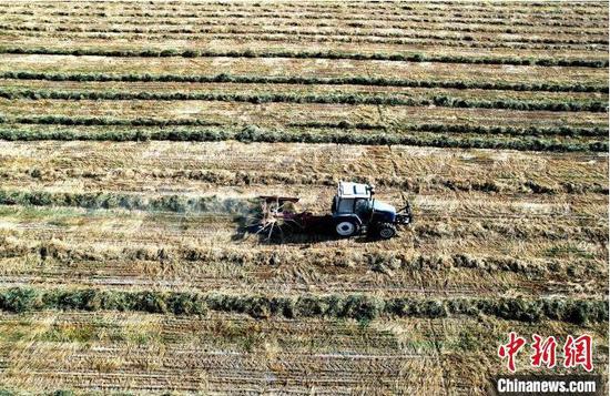 农机在新疆兵团第二师二十二团一农田里翻晒收割后的燕麦牲畜饲草。(资料图) 谢江林 摄