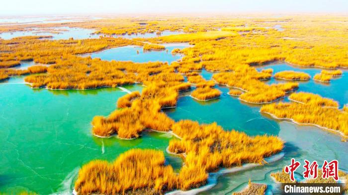 新疆天山南麓龙驹湿地风光旖旎如“彩绘”画卷