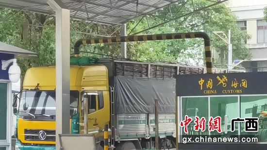 满载越南糖蔗的大货车正缓缓驶入中国广西崇左市龙州水口口岸关区。罗先彬 摄
