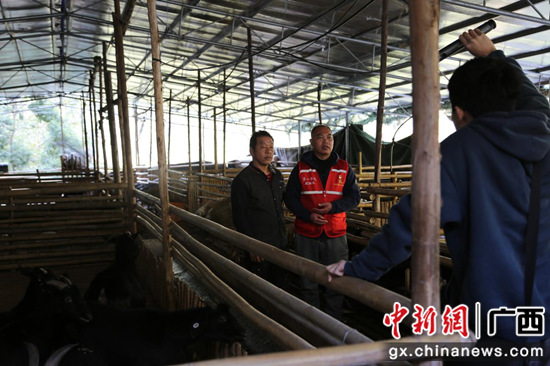 琴让村第一书记蓝修文带领村民拍摄黑山羊宣传微视频