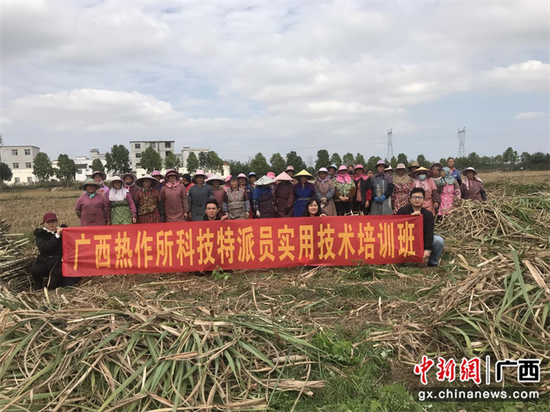 科技特派员卢业飞在南宁市宾阳县展志村召开甘蔗新品种培训班。广西亚热带作物研究所  供图