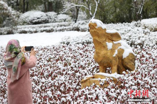 图为贵阳观山湖公园内雪后的“卯兔”雕塑吸引市民拍照。 瞿宏伦 摄