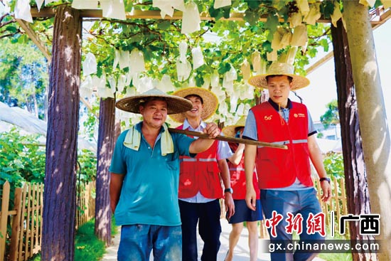 广西移动驻村队员帮助农民“种养智慧”