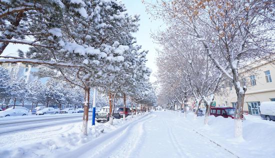1月2日，新疆生产建设兵团第十师北屯市街道上的景观树上落上了雪花。