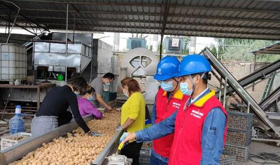 2022年9月16日，国网阿克苏供电公司党员服务队到温宿县依希来木其乡疆龙果业农业合作社上门服务。胡静 摄
