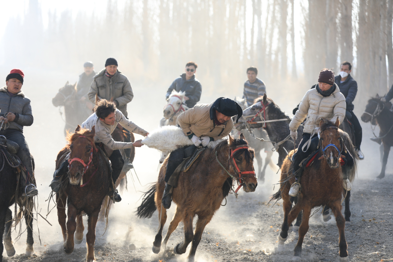 新疆焉耆：馬背“叼羊”引客來