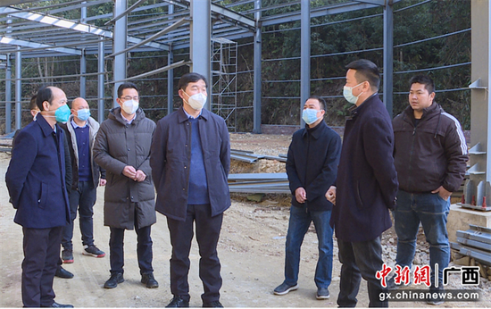 金秀县委书记谭玉成（右四）等领导在金秀食用菌乡村振兴农业科技示范园实地了解项目建设情况。曾莉莎  摄