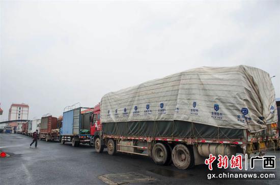 1月8日，在东兴边民互市贸易区里，大量货运车辆正在通关。翟李强  摄