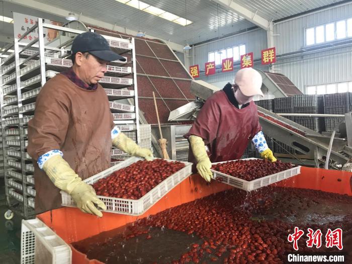 新疆兵團：紅棗加工忙 產品銷往全國各地