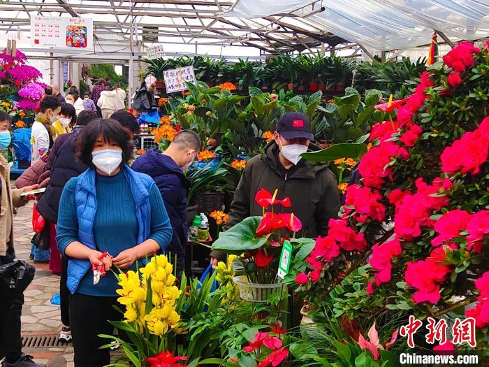 迎新春 乌鲁木齐市花卉市场“热”起来