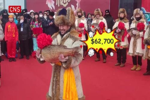 Carp sold for $62,700 at winter fishing festival in Xinjiang