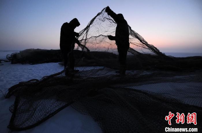 踏雪尋魚 新疆福海冰上大拉網再現傳統漁獵奇觀
