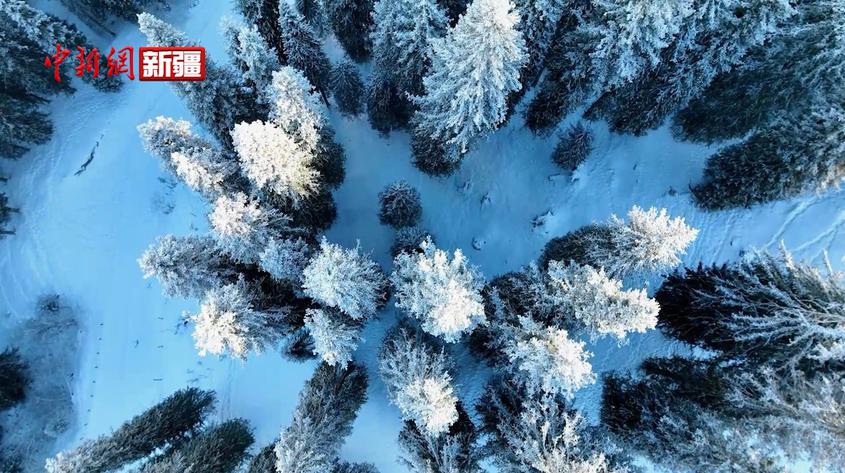 新疆特克斯：雪后的村莊 盡顯靜謐美