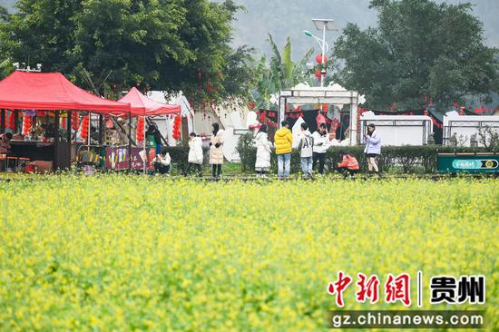 貴州興義：萬峰林油菜花節游客倍增