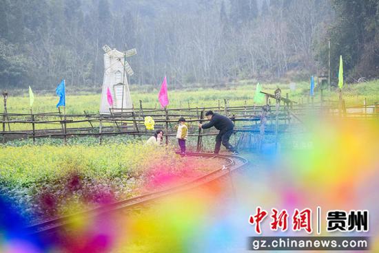 万峰林油菜花节引客来。 刘朝富 摄