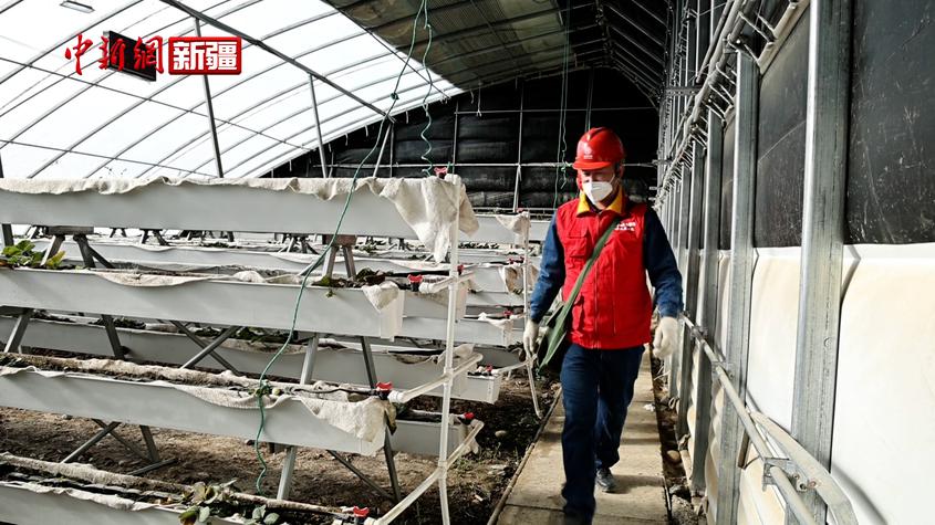 新疆乌什县：电力赋能助力智慧农业过“暖”冬