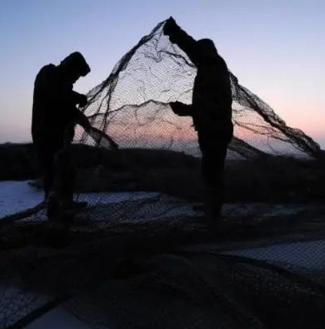 專稿 | 踏雪尋魚 新疆福海冰上大拉網再現傳統漁獵奇觀