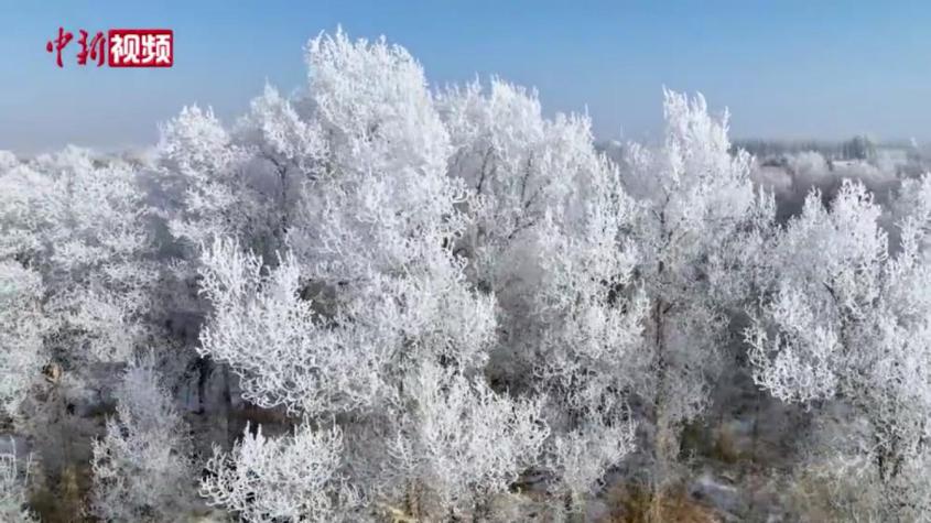 新疆葉爾羌河畔現霧凇景觀