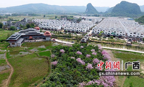 通过全域土地综合整治改造提升的柳州市柳南区太阳村镇山湾村。