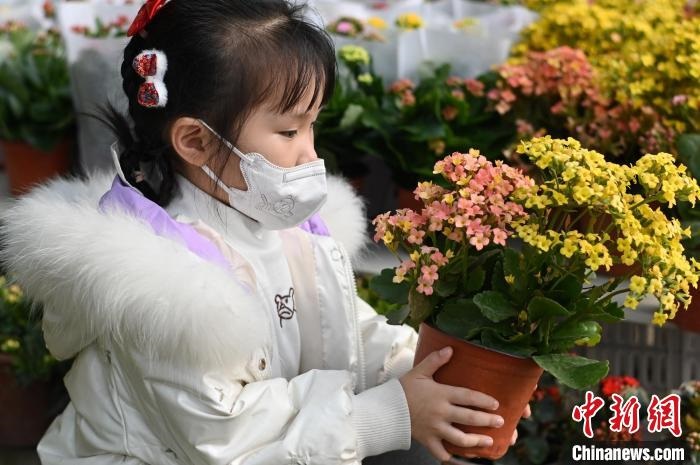 立春節氣到來，新疆庫爾勒各大花卉市場人氣旺，花卉走俏?！〈_·胡熱　攝