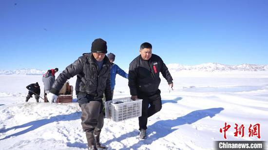 每天上午结束捕捞作业后，渔工们将捕捞出来的高白鲑送往温泉县加工厂。　杨韬 摄