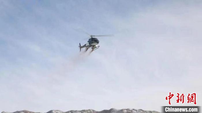 新疆库车市40万亩草原改良项目进行直升机飞播作业