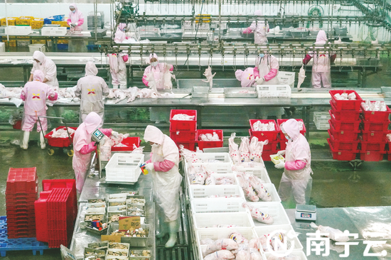 在广西华兴食品集团有限公司的流水生产线上，工作人员将鸭子分割、分类、分级、定重包装。