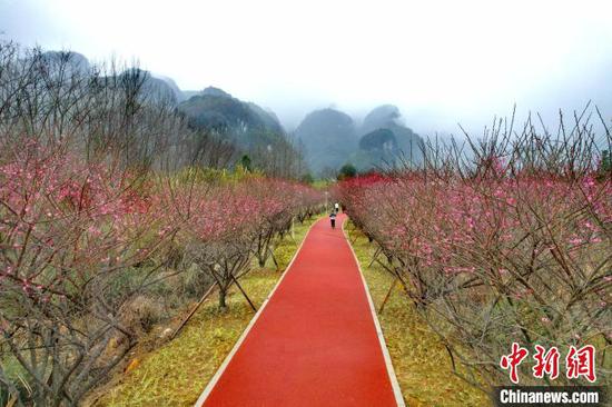 位于贵州江口县太平镇的湿地公园，已成民众休闲好去处。　李鹤 摄