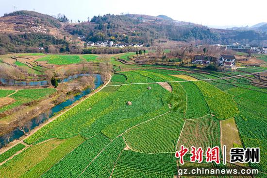 2023年2月11日拍摄的贵州省黔西市洪水镇解放村早春田园。