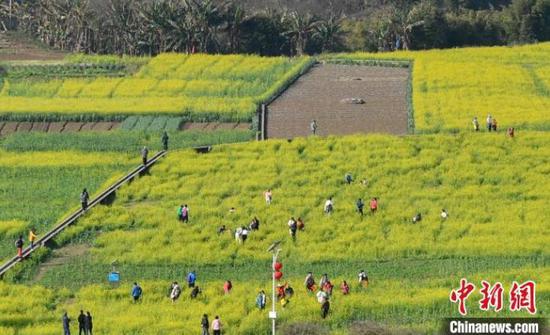 游客在贵州兴义市万峰林景区油菜花田里赏花拍照。　乔啟明 摄