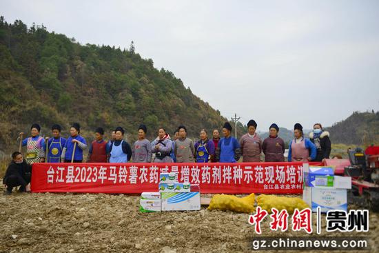 台江县2023马铃薯农药减量增效药剂拌示范现场培训