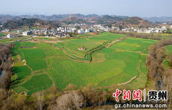 2023年2月11日拍摄的贵州省黔西市洪水镇解放村早春田园。
