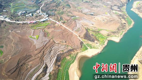 2月13日，贵州省大方县石桅村早熟糯玉米基地航拍。李灵 摄