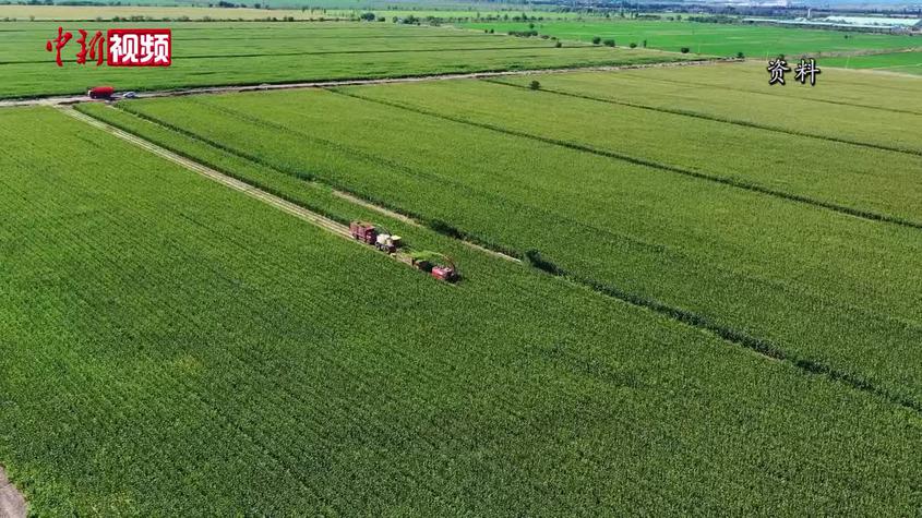 新疆玛纳斯：智慧农业平台助力冬小麦返青