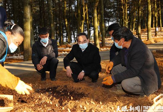 徐麟在赫章县平山国有林场林下天麻种植基地，与基地负责人和务工群众亲切交流。