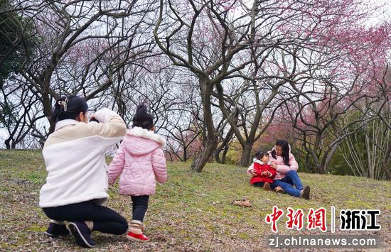 校园“梅”景引人拍照。 陈胜伟（通讯员）供图