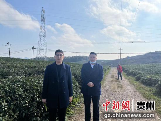 工行兴义城区支行实地查看茶产业