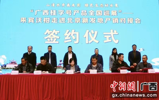 图为活动签约仪式现场 广西商务厅供图