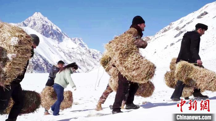 新疆护林员持续投放草料 保野生动物安全度过“粮荒期”