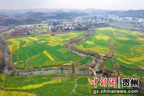2023年3月1日拍摄的贵州省黔西市洪水镇解放村油菜花田园。
