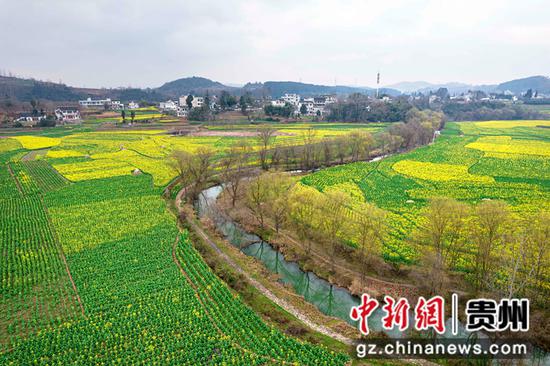 2023年3月1日拍摄的贵州省黔西市洪水镇解放村油菜花田园。
