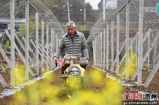 3月3日，贵阳市南明区永乐乡村民正在犁地松土。