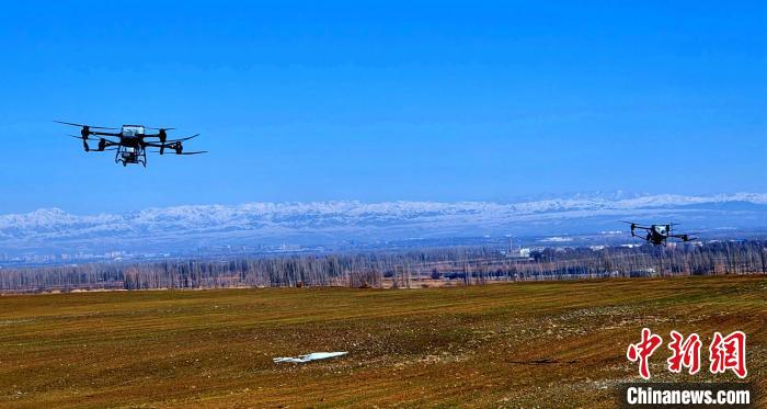 冬小麥返青關鍵時節新疆察布查爾縣無人機追肥