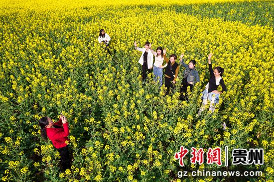 2023年3月8日，游客在贵州省黔西市洪水镇解放村油菜花田园里踏青赏花（无人机拍摄）。