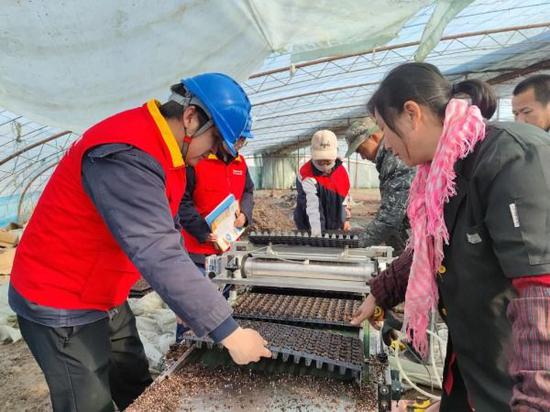 国网博湖县供电公司工作人员来到本布图镇再格森诺尔村育苗大棚了解农户用电需求。王坤 摄