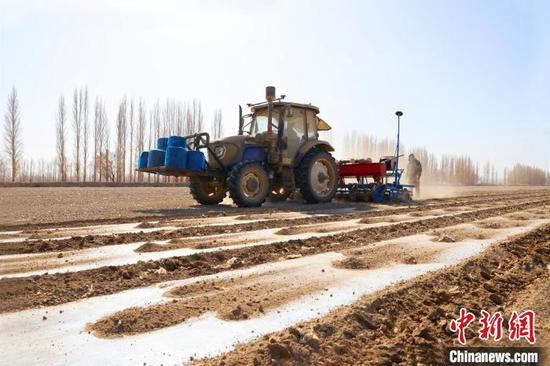 新疆焉耆垦区20余万亩辣椒铺膜全面展开