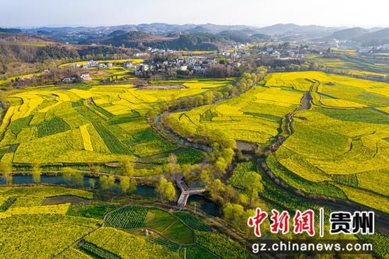 2023年3月8日，游客在贵州省黔西市洪水镇解放村油菜花田园里踏青赏花。