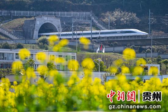 贵阳观山湖区朱昌镇金色花海美如画