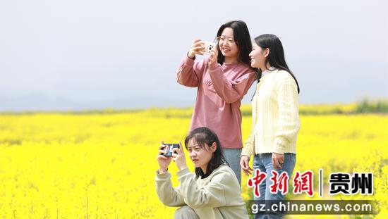 3月12日，游客在贵州省大方县牛场乡立新村油菜种植基地游玩。周训贵 摄