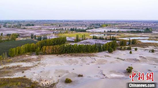 Young forest ranger protects ecological barriers in Xinjiang desert for 10 years